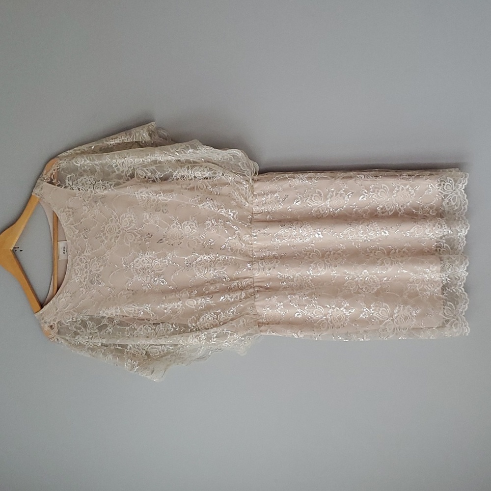 Eci White Tan Floral Lace Mini Dress Womens 10